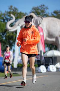 BIB: 
                            <button type="button" onclick="openModal(26544904)" class="btn btn-primary btn-sm float-right btn-popup" data-toggle="modal" data-target=".modal-high-quality">
                        <i class="fas fa-shopping-cart"></i> Add to Cart
                    </button>
                                            <button type="button" onclick="isThisMe(26544904, true)" class="btn btn-success btn-sm float-right btn-popup btn-isme hidden" data-toggle="tooltip" data-placement="bottom" title="นี่คือรูปของคุณใช่ไหม คลิกที่นี่เพื่อเอาเข้าอัลบั้ม">
                        <i class="fas fa-plus"></i> Add to album
                    </button>
                    <button type="button" onclick="isThisMe(26544904, false)" class="btn btn-warning btn-sm float-right btn-popup btn-isnotme hidden">
                        <i class="fas fa-ban"></i> Remove from album
                    </button>